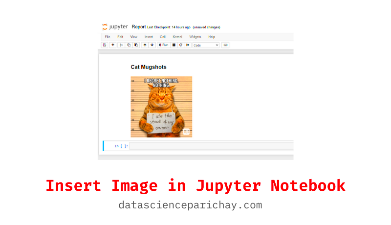 Insert Image in a Jupyter Notebook  Data Science Parichay