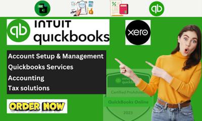 I Will Do QuickBooks Online Bookkeeping Expert and Cleanup