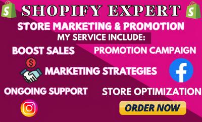 I Will Elevate Your Shopify Business with Marketing, Promotion, Sales Funnel, and E-commerce Solutions to Boost Sales