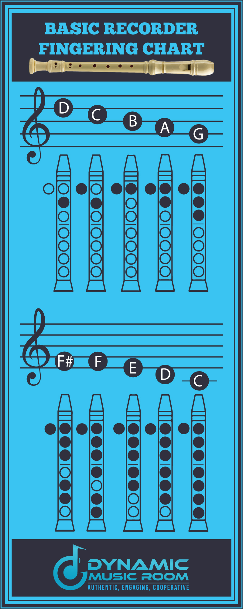 Note Pe Recorder Fiecare Not A Explicat  Dynamic Music Room 