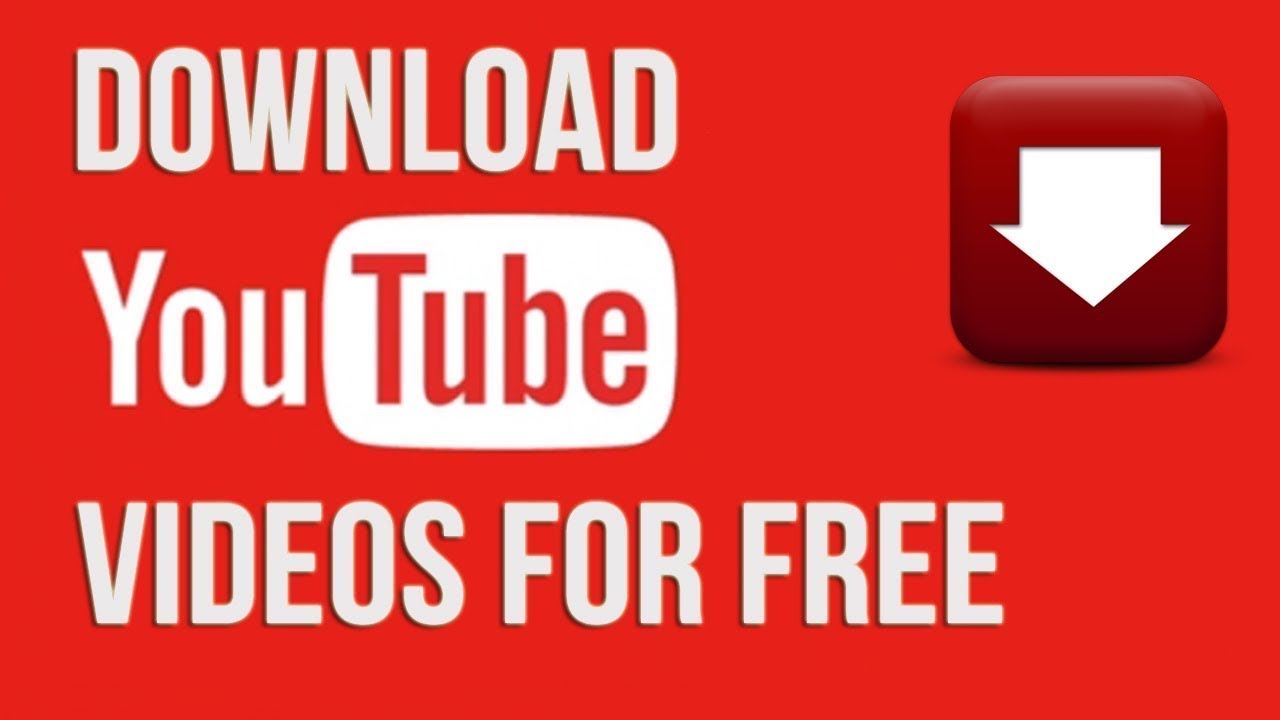 how to download HD videos from YouTube for free  YouTube