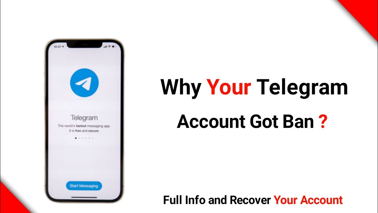 Why Your Telegram Account Got Ban  how to unbanned telegram account 