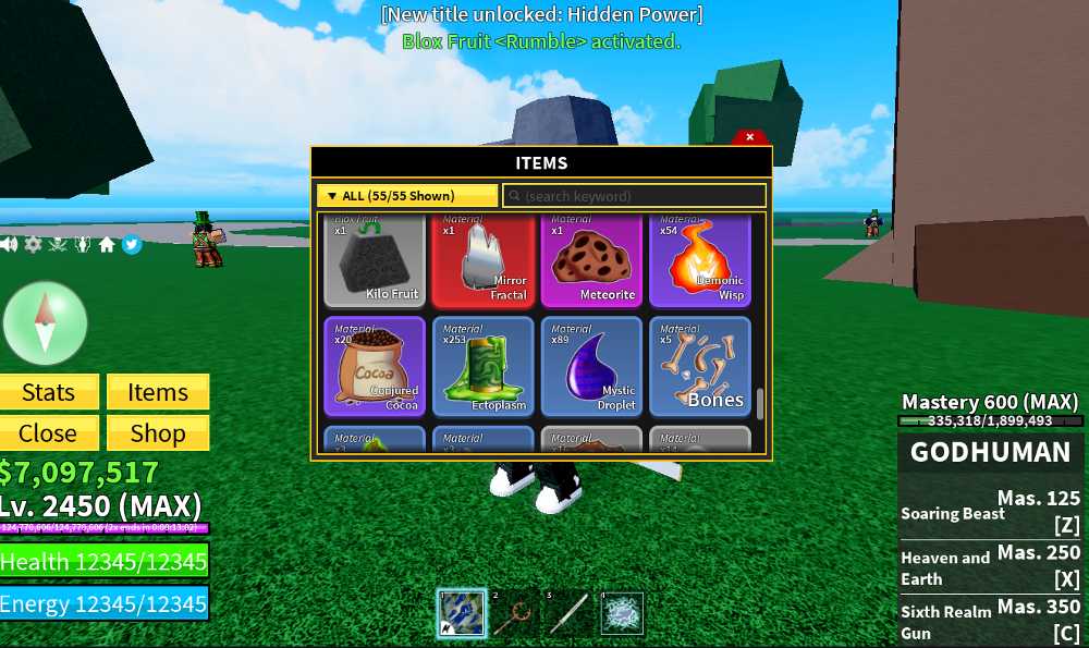 Blox Fruits  Max Level Account 2450  Rumble  7M Beli  33K 