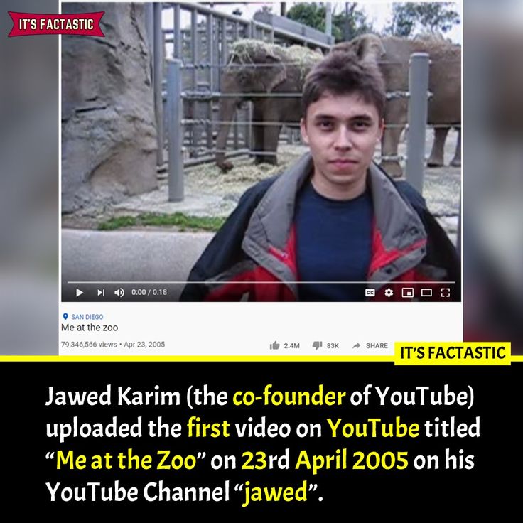 First YouTube Video  Me at the zoo Youtube videos Youtube