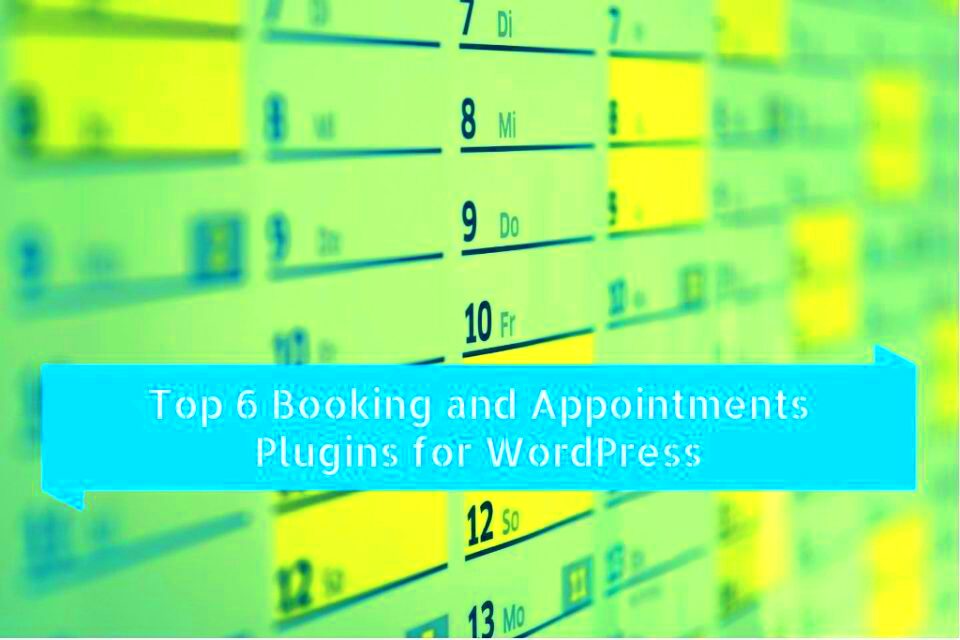 Top 6 Booking and Appointments Plugins for WordPress  WPRuby