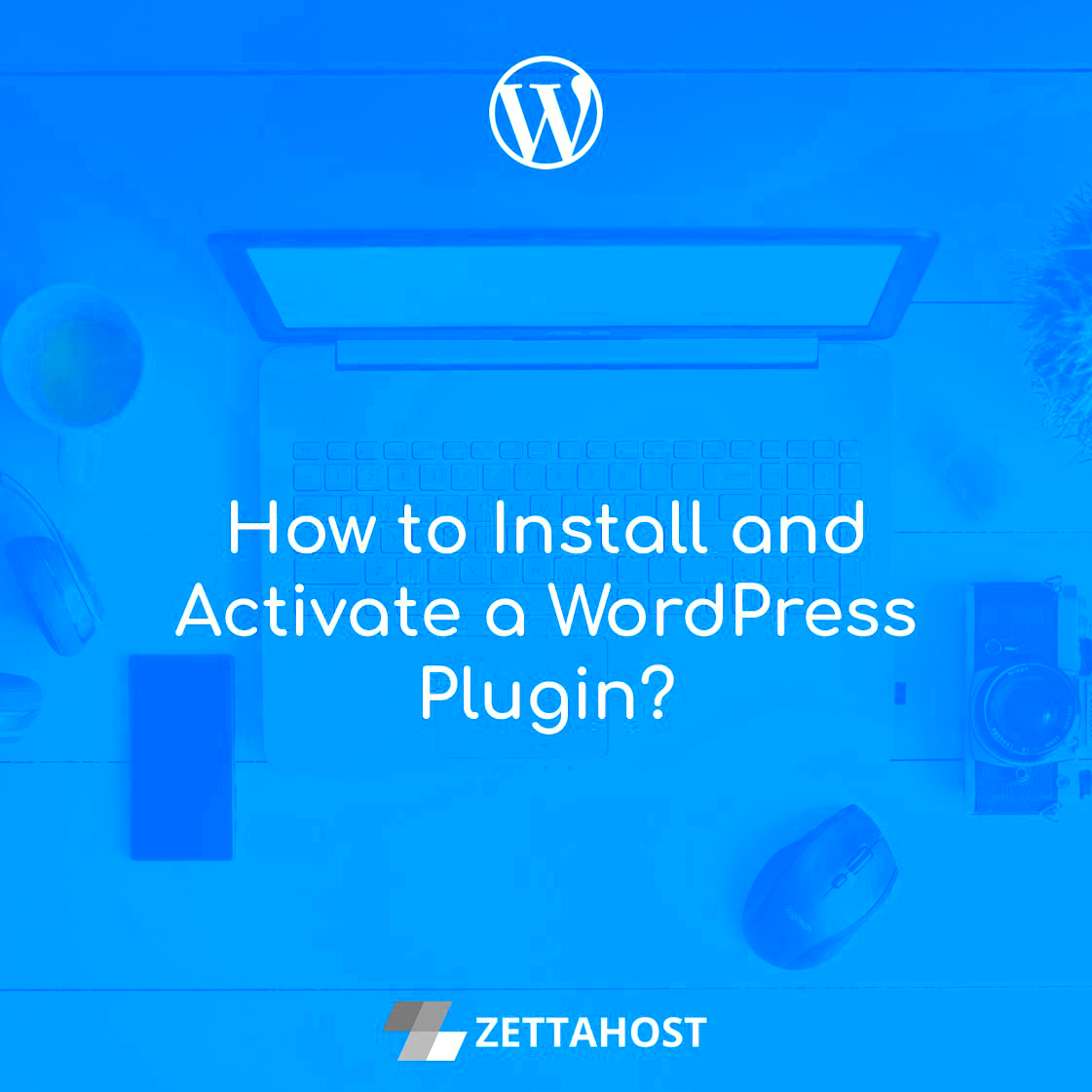 How to Install and Activate a WordPress Plugin  Free Hosting 