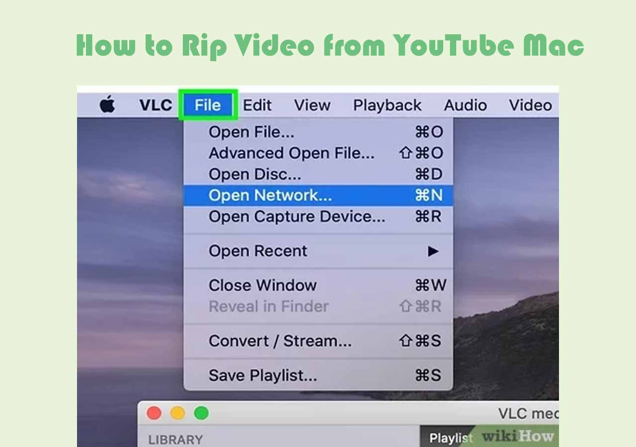 5 Ways Rip Video from YouTube Mac 2024 Updated Guide