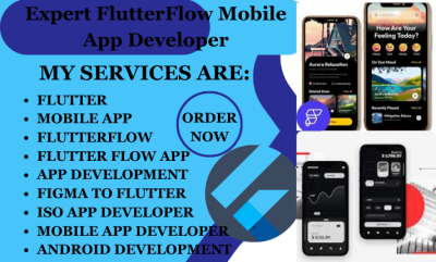 I Will Provide Expert Full Stack Flutter Mobile App Development for Android