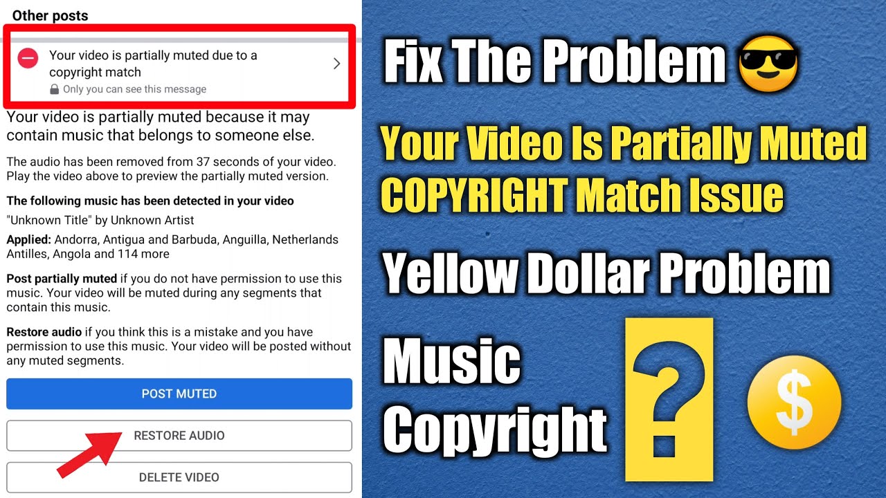 How To Fix Your Video Is Partially Muted Due To Copyright Match 