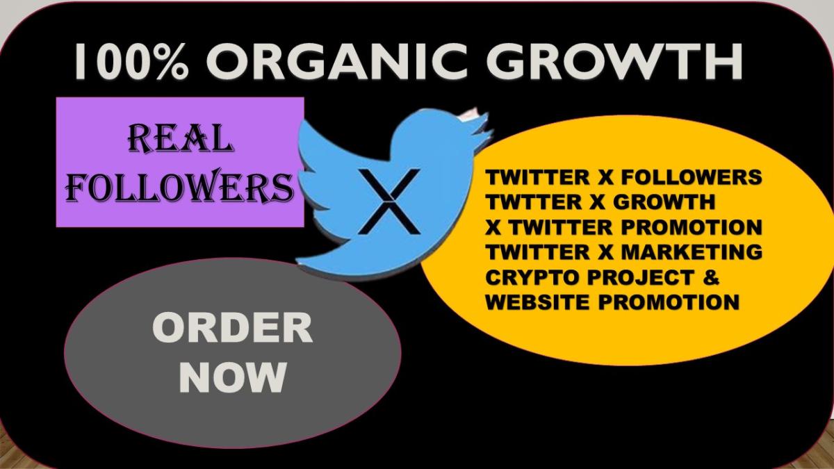 I Will Do Massive Twitter Growth, Management, and Promotion with Real Users and Engagements