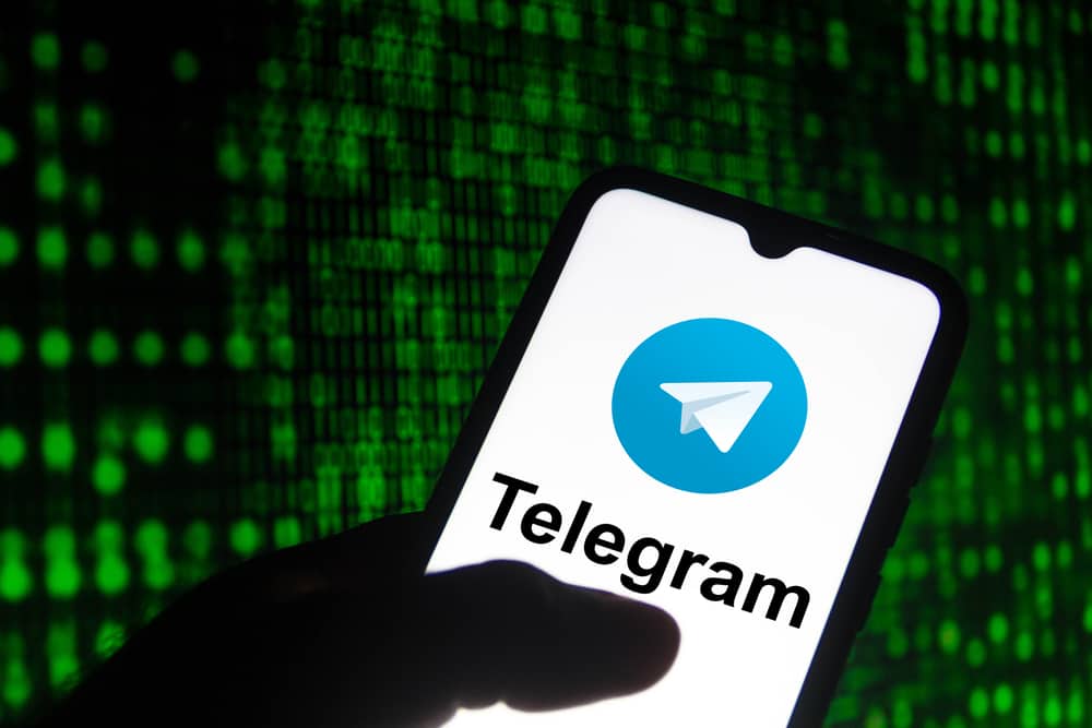 What Does One Green Check Mean on Telegram  ITGeared