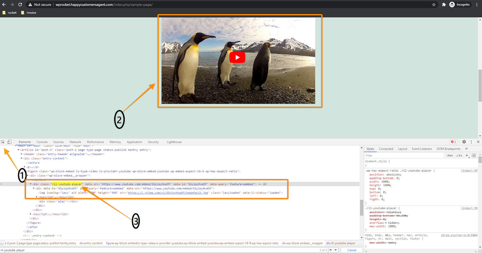 Replace YouTube iframe with preview image  WP Rocket Knowledge Base