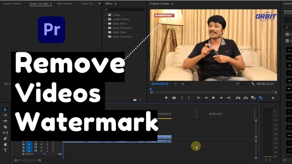 How to remove watermark from videos  Adobe premiere pro  blogs 