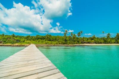 Wooden Pier or Bridge with Tropical Beach: Download Free Stock Photo