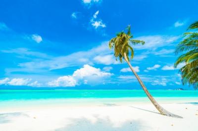 Maldives Island – Free Stock Photo for Download