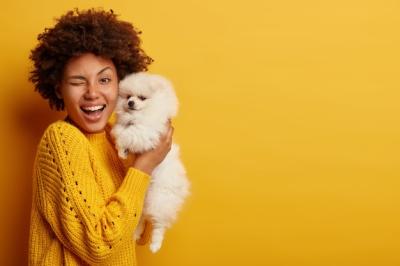 Happy Lady Winking with White Spitz Puppy in Cozy Indoor Setting – Free Download