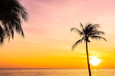 Stunning Sunset Sea Landscape with Silhouette of Coconut Palm Trees – Free Download