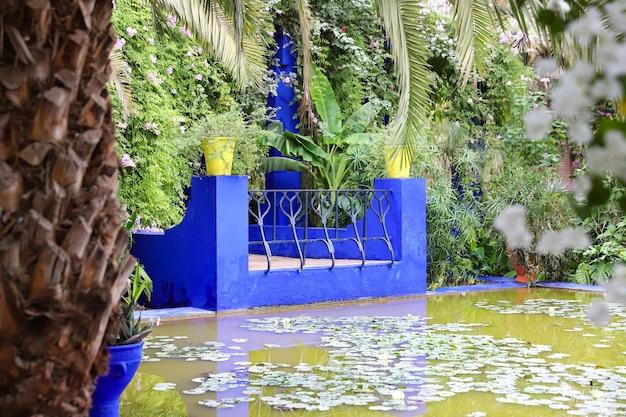 Majorelle Garden in Marrakech Morocco – Free Stock Photo for Download