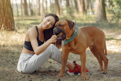 Playing with a Dog in a Summer Forest – Free Stock Photo, Download for Free