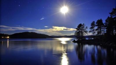 Moonlit Lake Reflections of Silhouetted Trees – Free Stock Photo Download