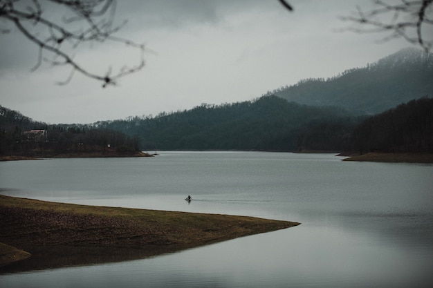 Landscape with Trees, Hills, and a Beautiful River – Download Free Stock Photo