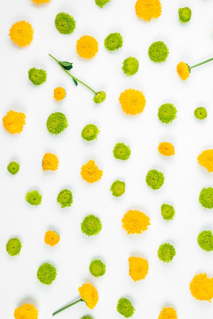 Yellow and Green Flower Decoration on White Backdrop – Free Download