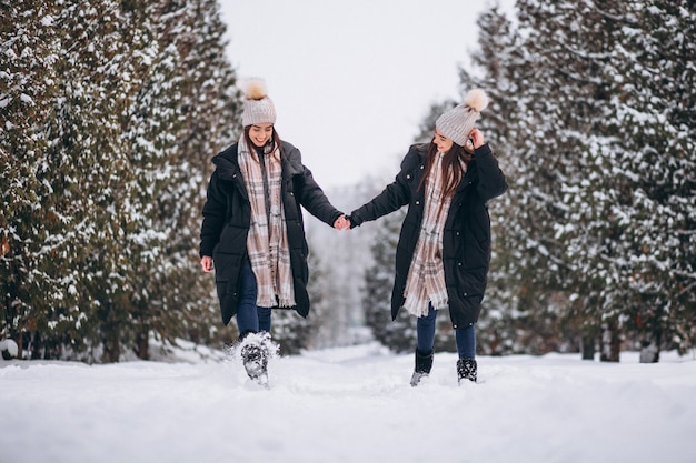 Two Girls Twins Together in Winter Park – Free Stock Photo, Download Free