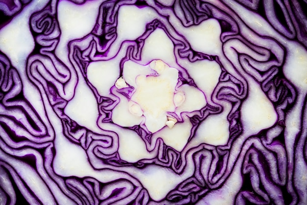 Macro Shot of Cut Red Cabbage – Free Stock Photo for Download