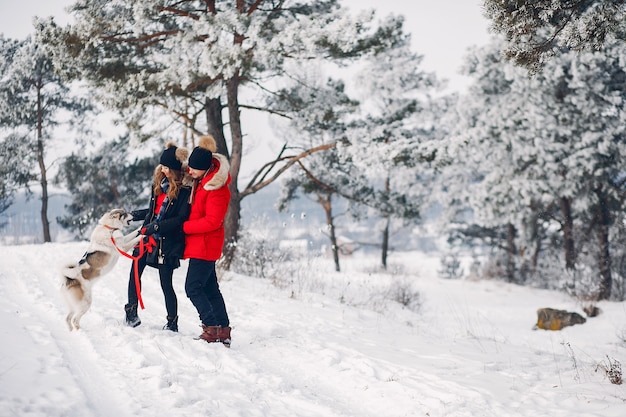 Couple Enjoying Playtime with Their Dog – Free Stock Photo, Download for Free