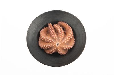 Fresh Boiled Octopus on White Plate – Free Download