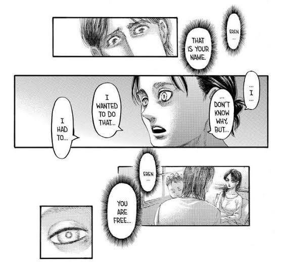 Eren didnt know why he did the rumbling because he lacked reading 