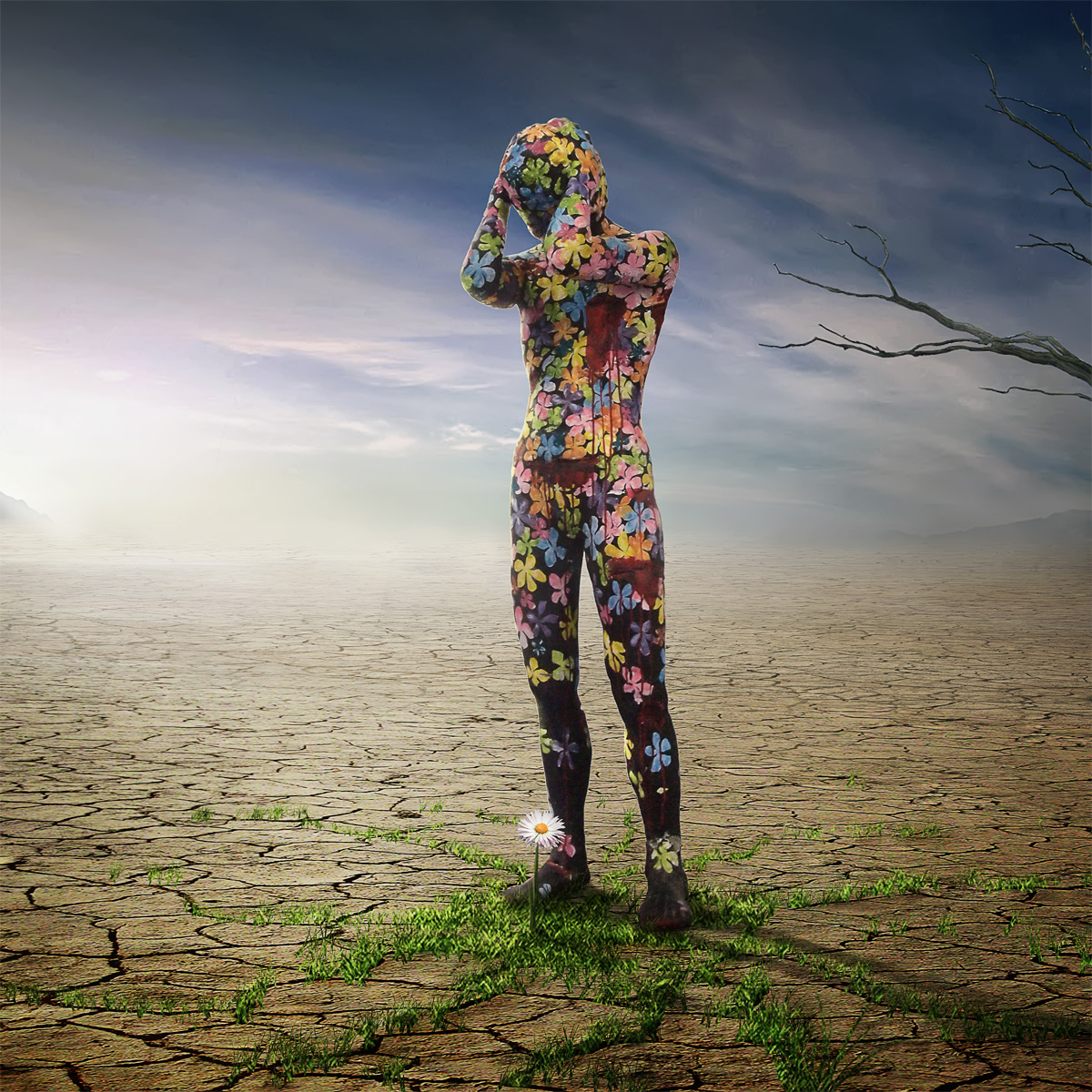 Collection on Behance