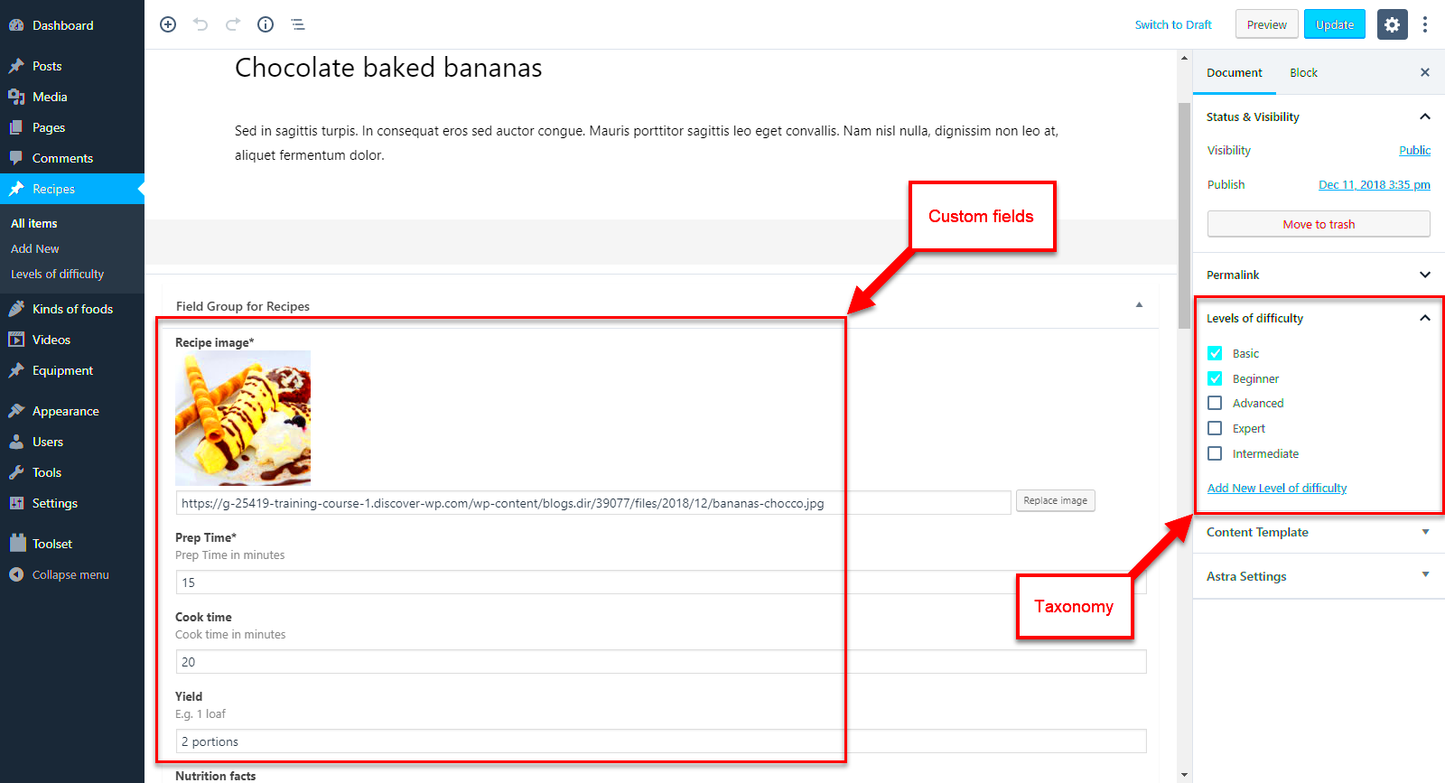 What are Custom Post Types in WordPress