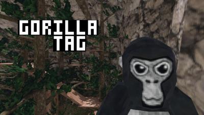 How Old Is Elliot, the Popular Gorilla Tag YouTuber, and What Is His Background?