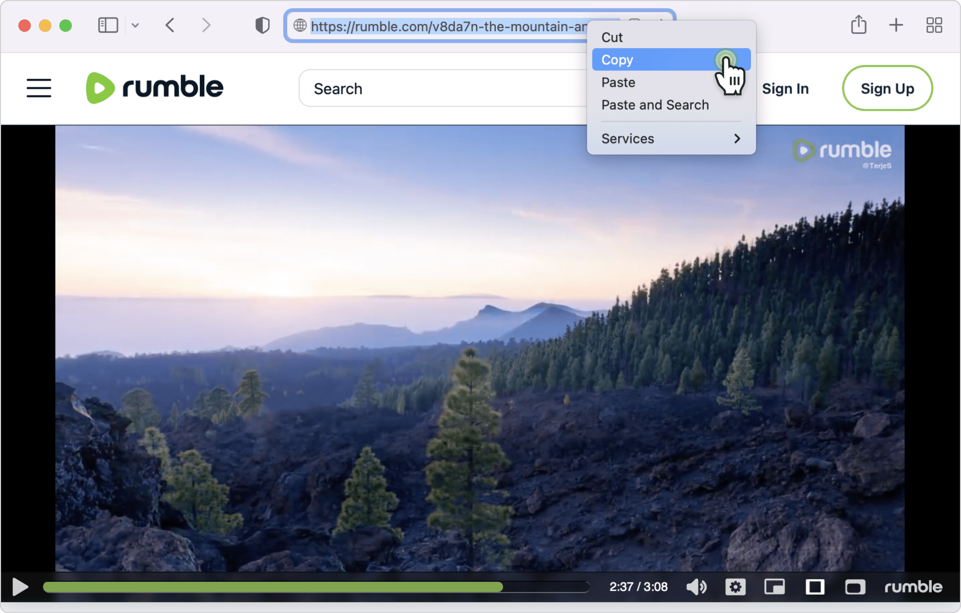 How to Download a Rumble Video 4K Download