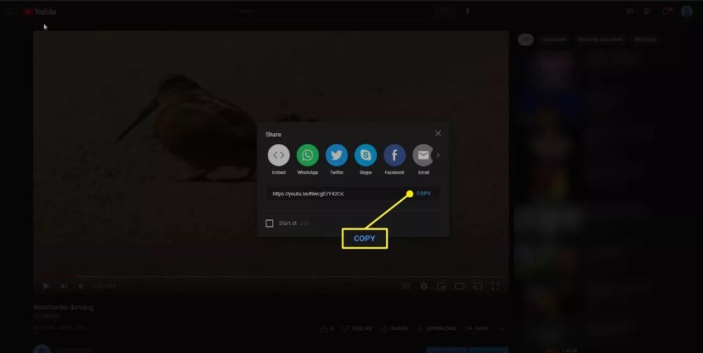 Can You Post a YouTube Video to Instagram? Sharing Tips for Social Media