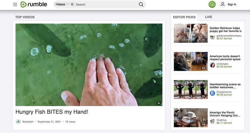 How Do I Get Rumble on My TV? A Guide to Setting Up Rumble for TV Viewing