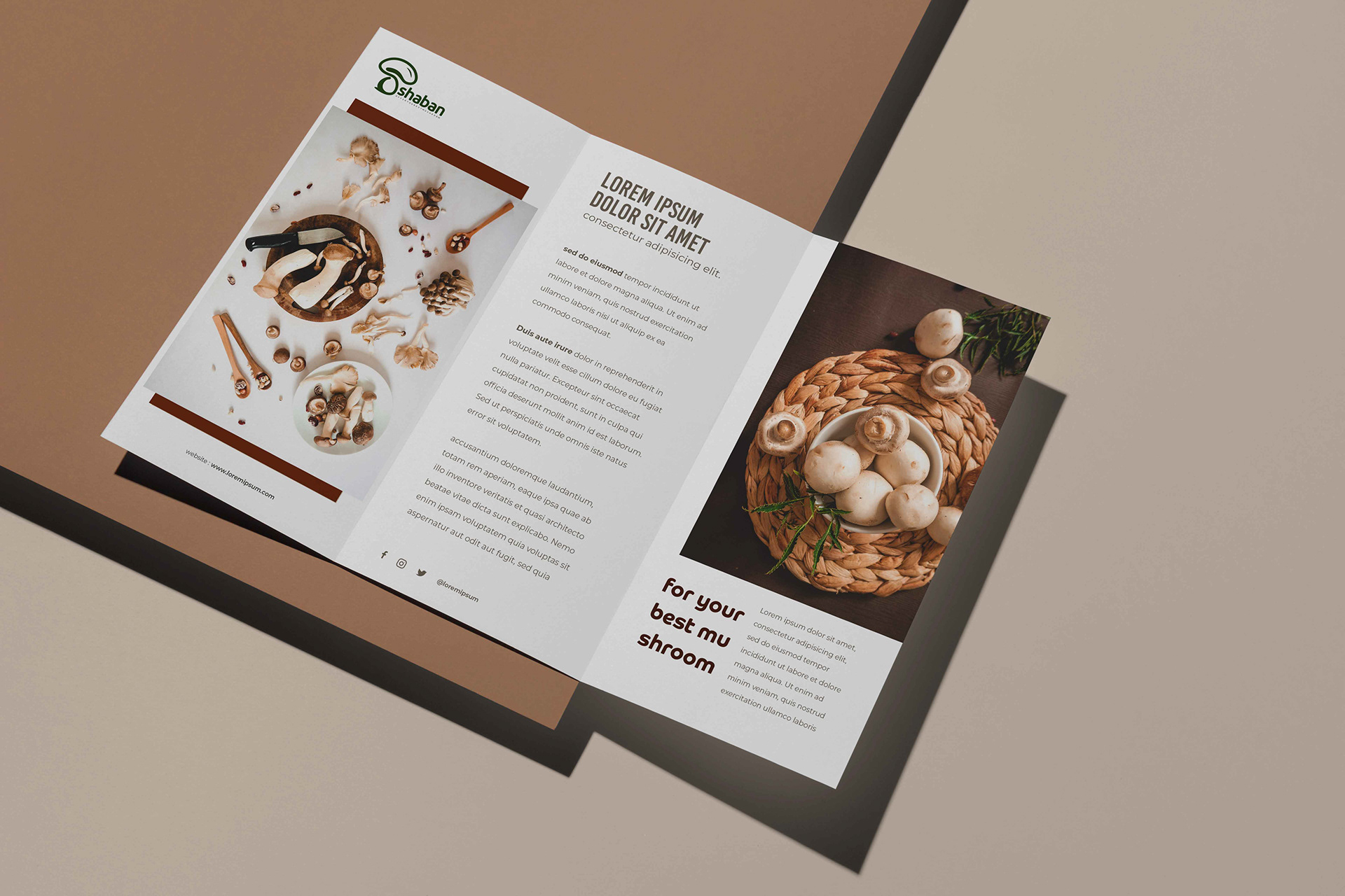 How to Best Upload Brochures on Behance: Presenting Printed Materials in a Digital Portfolio