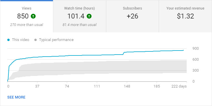 What Are Fake Views on YouTube  TubeRanker