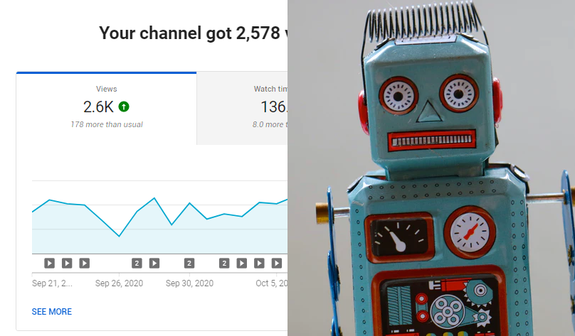 What Are View Bots on YouTube  TubeRanker