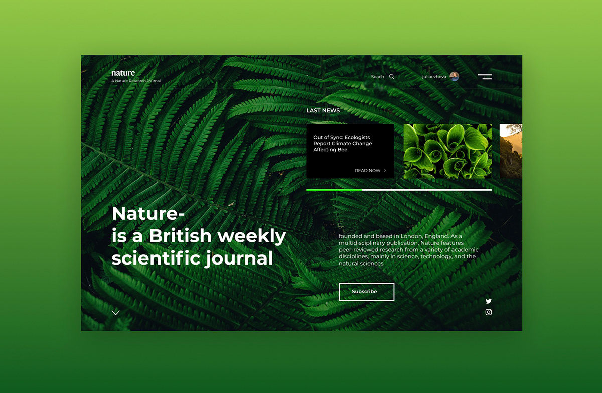 How Do I Add a New Project to My Behance: Uploading and Organizing Creative Work