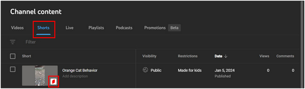 How to Upload Shorts on YouTube From Mobile or PC