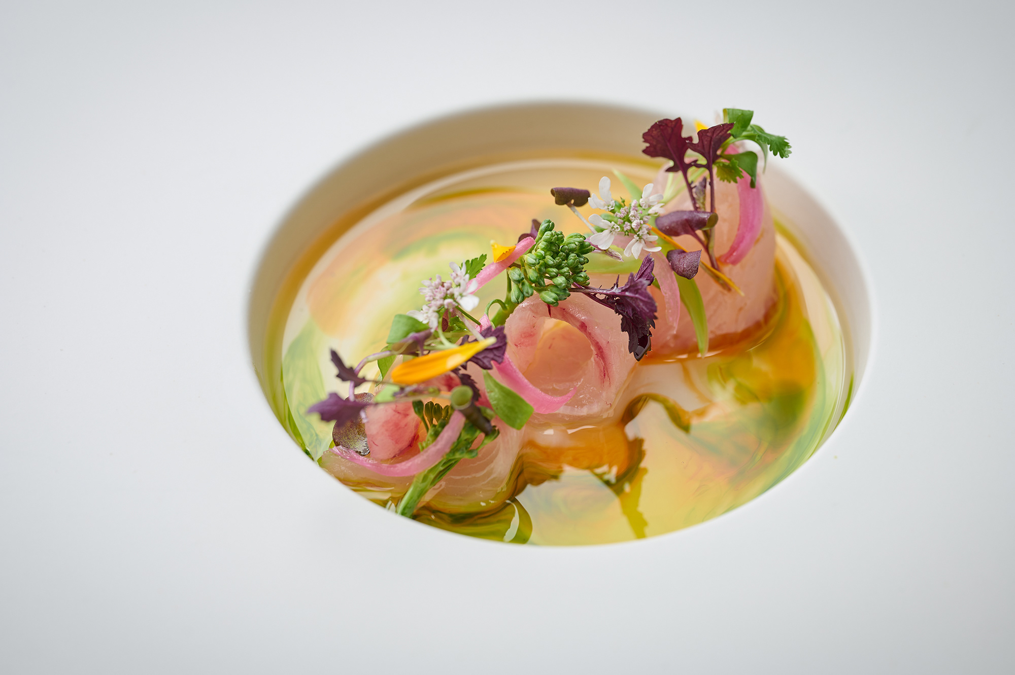 How to See Your Liked Projects and Favorites on Behance