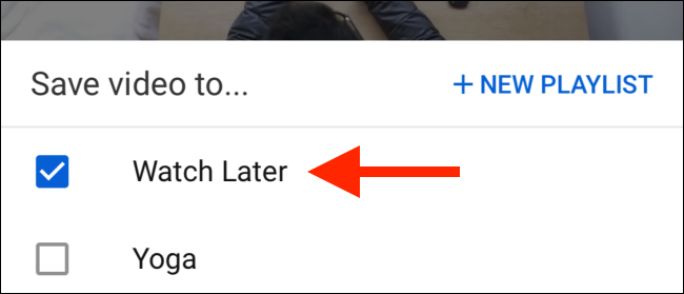 How to Save a Video From YouTube Heres What You Need to Know