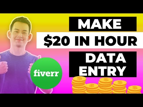 Learn Data Entry live work demo on Fiverr I Earned 20 by doing this 