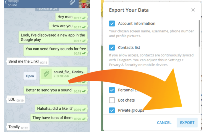 What is a Telegram Secret Chat and How Does It Protect Your Privacy?