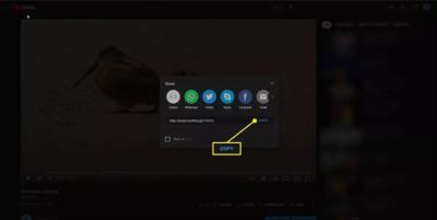 Can You Post a YouTube Video to Instagram? Sharing Tips for Social Media
