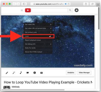 How to Put a Song on Repeat on YouTube: An Easy Solution