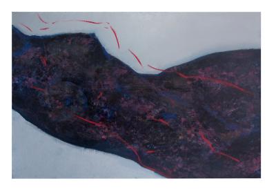 How to Hide Appreciation on Behance: Controlling the Visibility of Likes and Comments