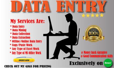 What is a Data Entry Job on Fiverr?